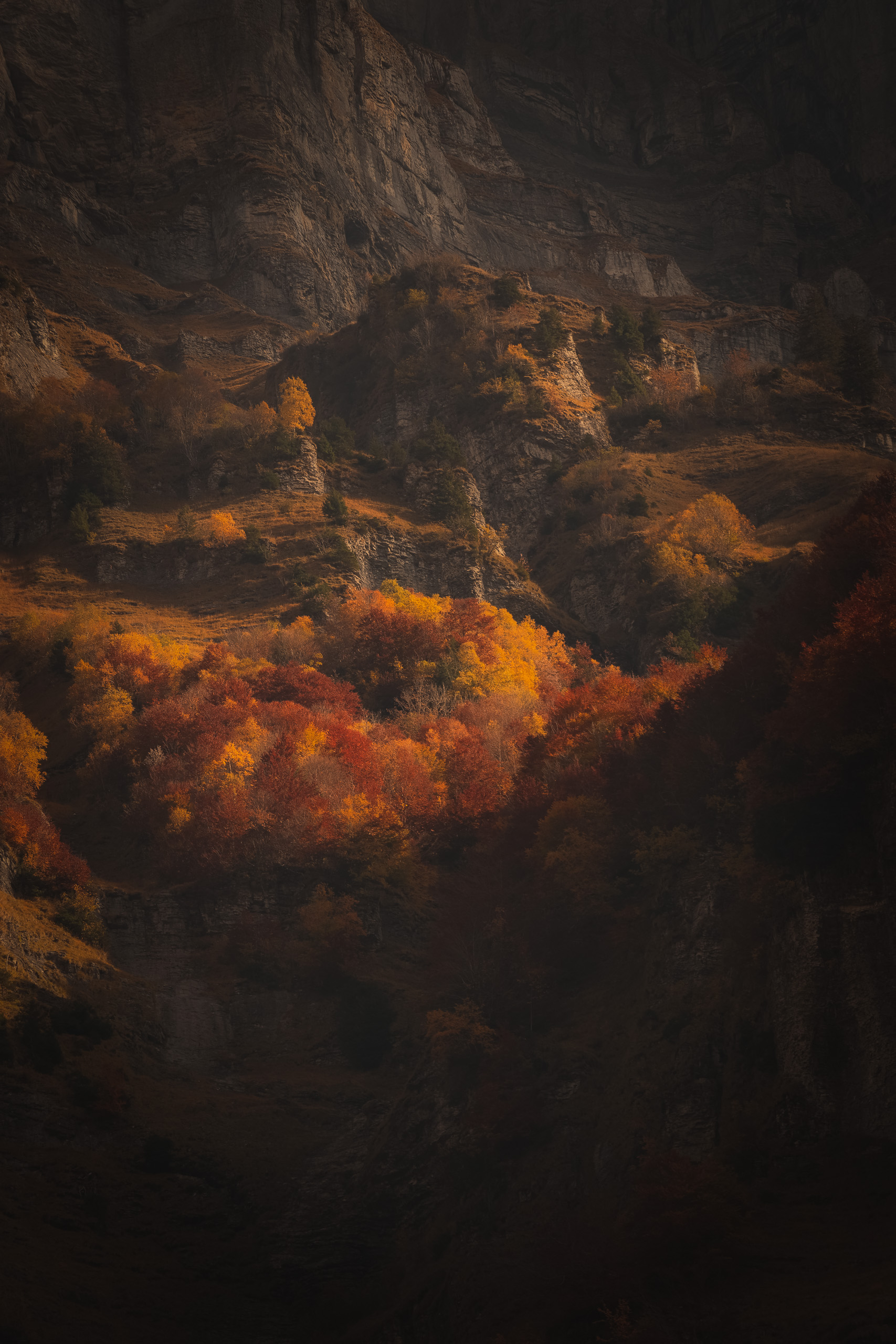 Contreforts automnaux