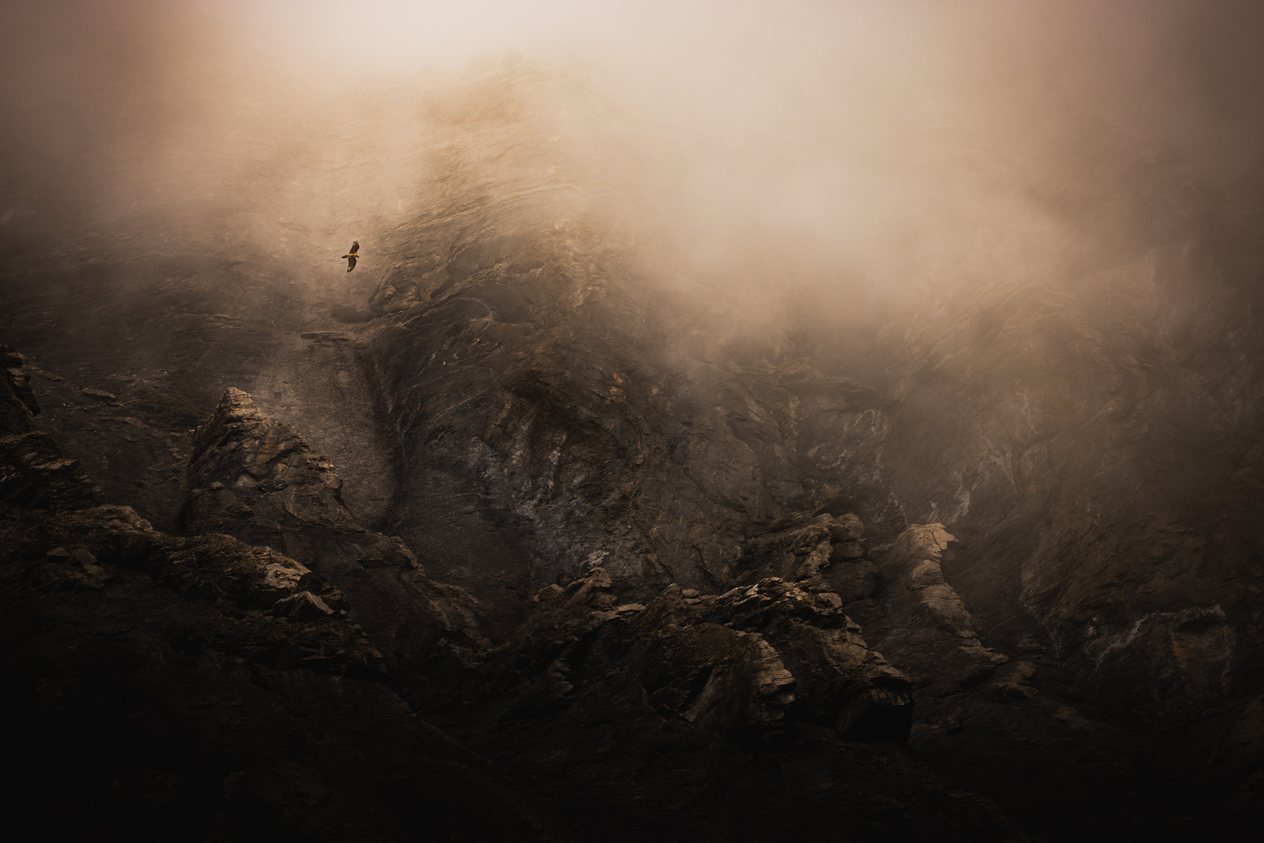 De rouille et d’os