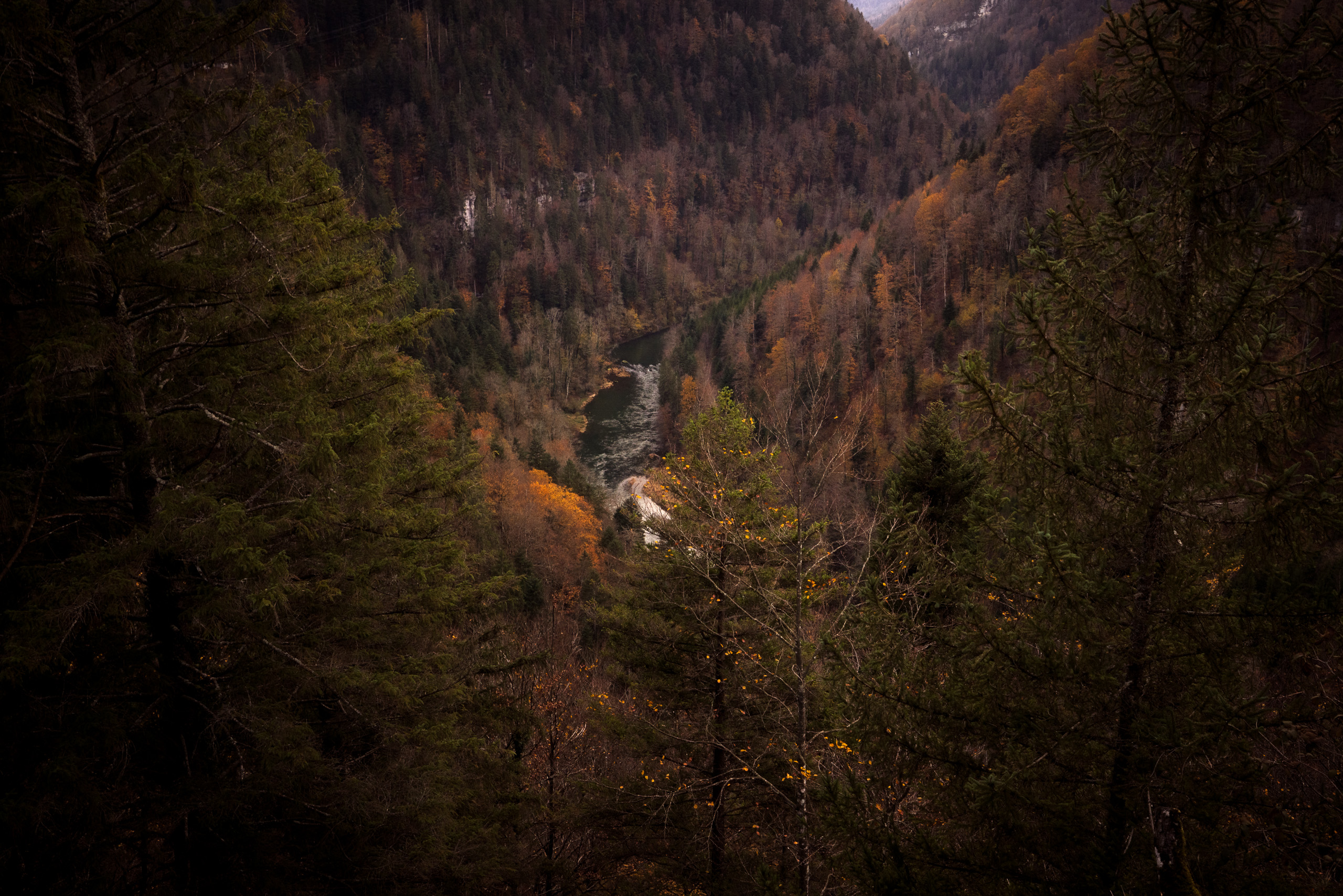Gorges du Doubs (Suisse) - Novembre 2022