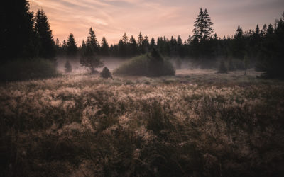 Calendriers 2026 – Commandes ouvertes 📅